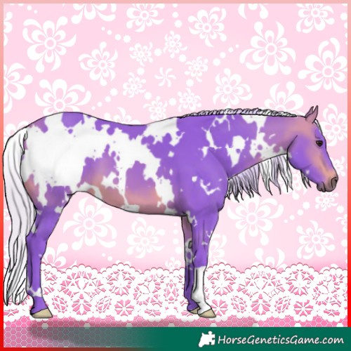Horse Color:Watercolor White Spotted Silver Brown 