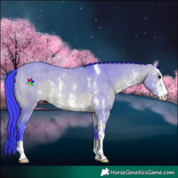 Horse Color:Watercolor Bay Dun Sabino 