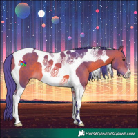 Horse Color:Watercolor Bay Tobiano 