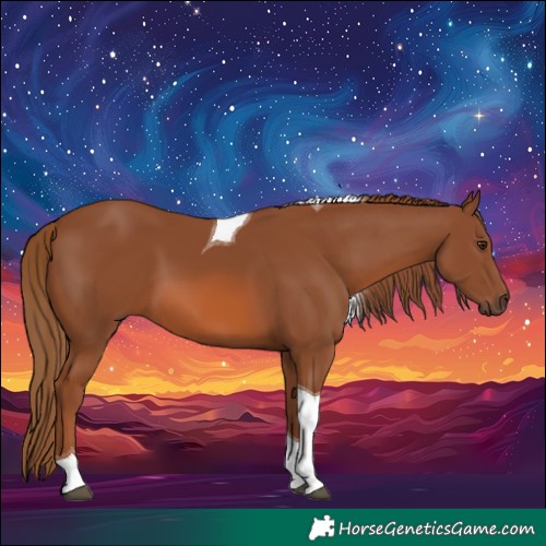 Horse Color:Chestnut Tobiano 