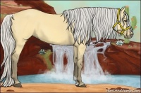 Horse Color:Silver Buckskin Dun 