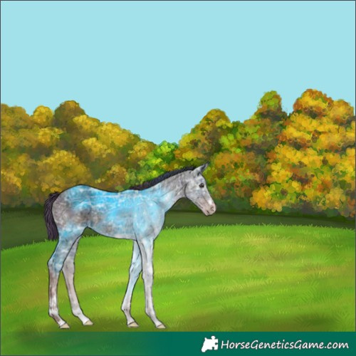 Horse Color:Plaid  Liver Chestnut Ice 