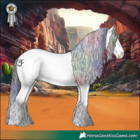 Horse Color:Nacre White Spotted Liver Chestnut Ice Appaloosa 