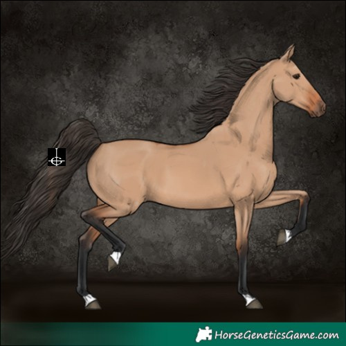 Horse Color:Bay Dun