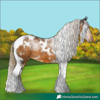 Horse Color:White Spotted Chocolate Palomino Tobiano 