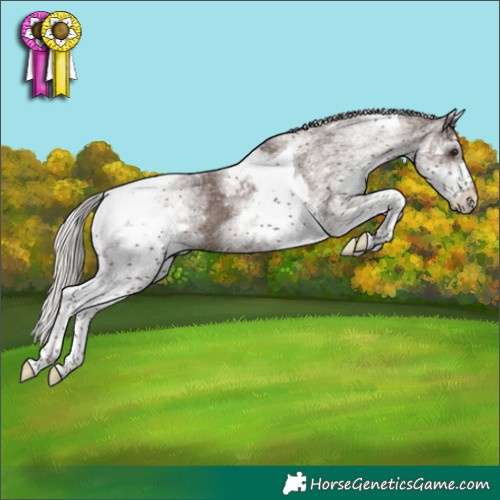 Horse Color:White Spotted Silver Black Tobiano 