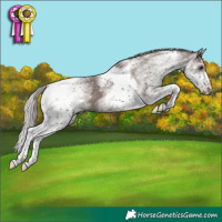 Horse Color:White Spotted Silver Black Tobiano 