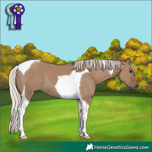 Horse Color:Silver Grullo Tobiano 