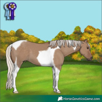 Horse Color:Silver Grullo Tobiano 
