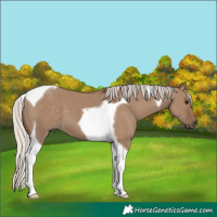 Horse Color:Silver Grullo Tobiano