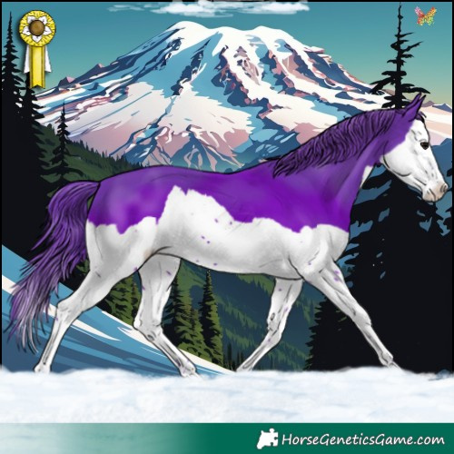 Horse Color:Watercolor Black Splash 