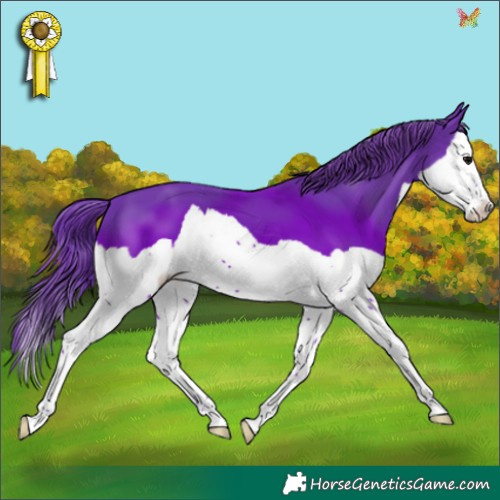 Horse Color:Watercolor Black Splash 