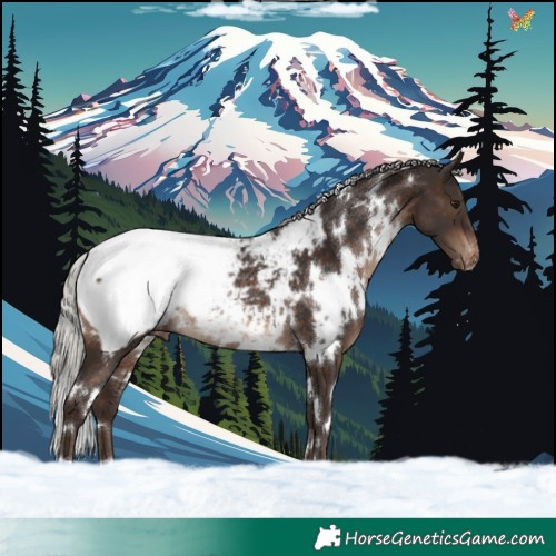 Horse Color:White Spotted Silver Brown Snowcap Rabicano 