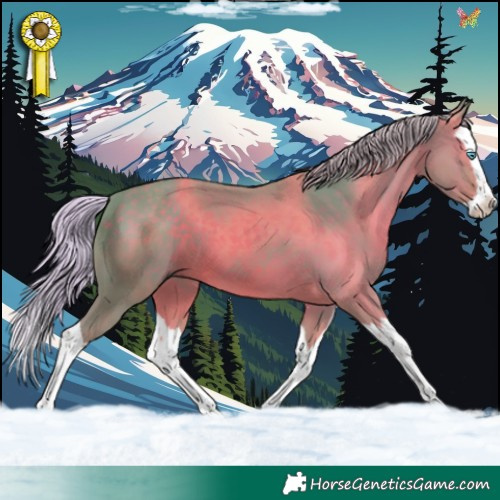 Horse Color:Watercolor Silver Black Splash 