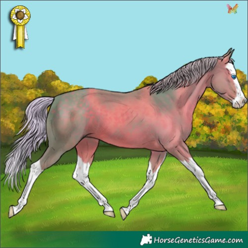 Horse Color:Watercolor Silver Black Splash 
