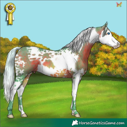Horse Color:Watercolor Silver Brown Splash Tobiano 