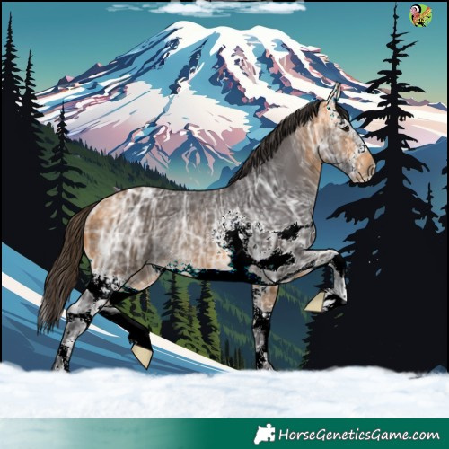 Horse Color:White Spotted Buckskin Ice Rabicano 