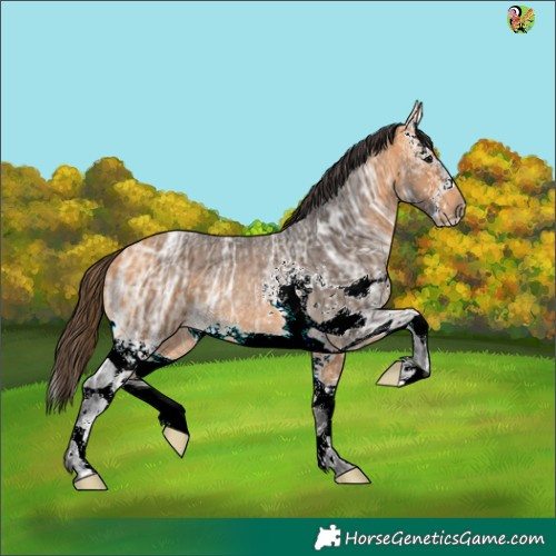Horse Color:White Spotted Buckskin Ice Rabicano 