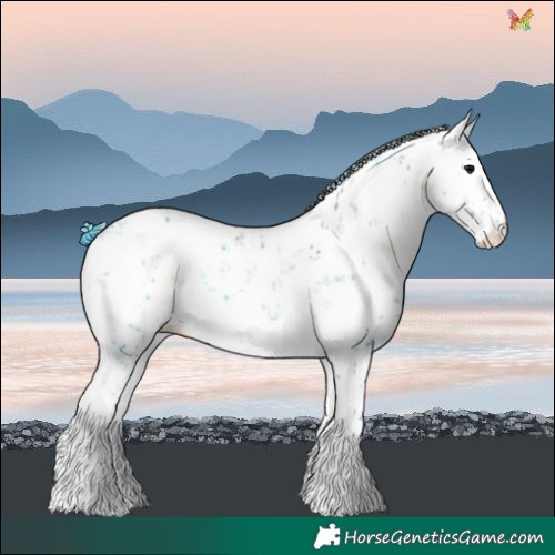 Horse Color:White Spotted Buckskin Ice Onyx Sabino Blanket Rabicano 