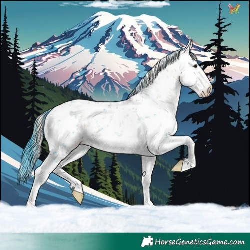Horse Color:White Spotted Buckskin Ice Onyx Sabino Appaloosa Rabicano 