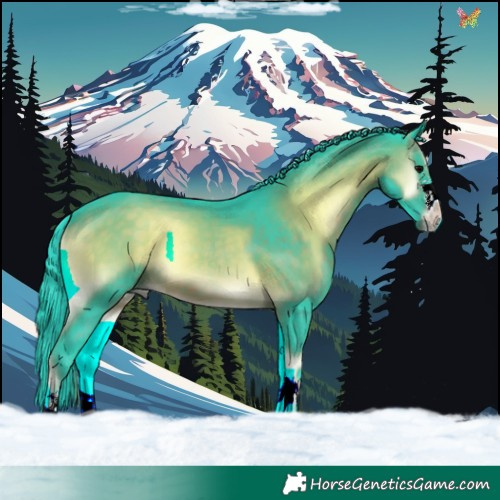 Horse Color:Watercolor Brown Onyx 