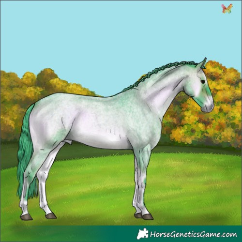 Horse Color:Watercolor Brown Roan Onyx 