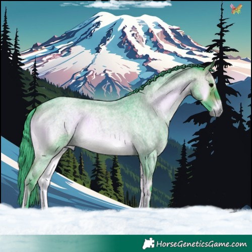 Horse Color:Watercolor Brown Roan Onyx 