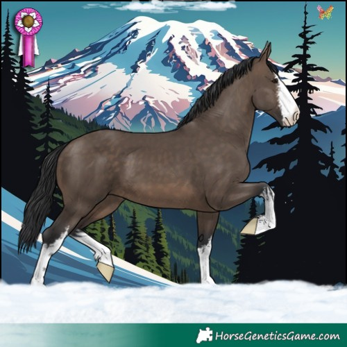 Horse Color:White Spotted Brown Dun 