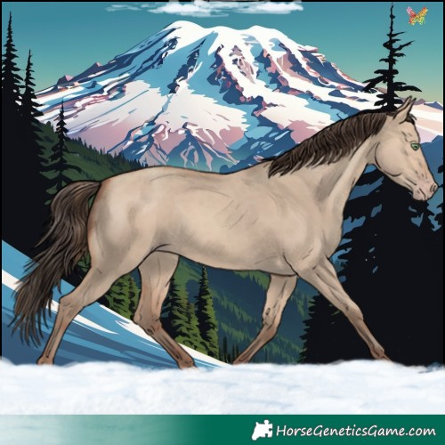 Horse Color:White Spotted Sable Champagne Dun 