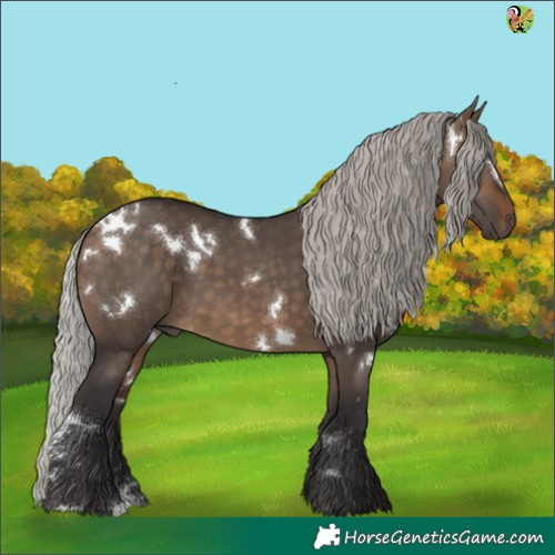 Horse Color:White Spotted Silver Brown Dun 