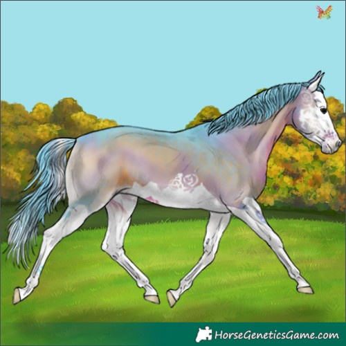 Horse Color:Watercolor Brown Onyx Splash 