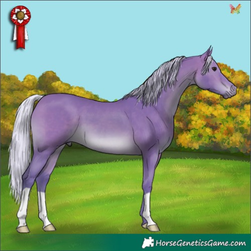 Horse Color:Watercolor Silver Bay 
