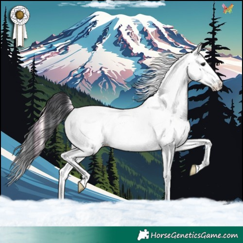 Horse Color:White Spotted Bay Onyx Splash Tobiano 