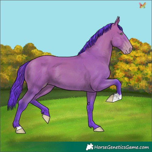Horse Color:Watercolor Amber Champagne 