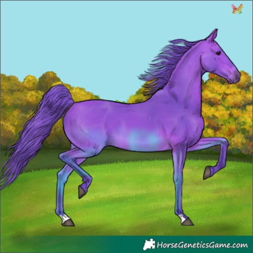Horse Color:Watercolor Bay 