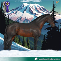 Horse Color:Brown 