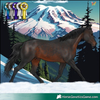 Horse Color:Brown 