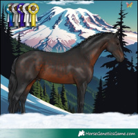 Horse Color:Brown 
