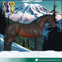 Horse Color:Brown 