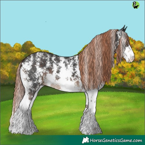Horse Color:Liver Chestnut Sabino 