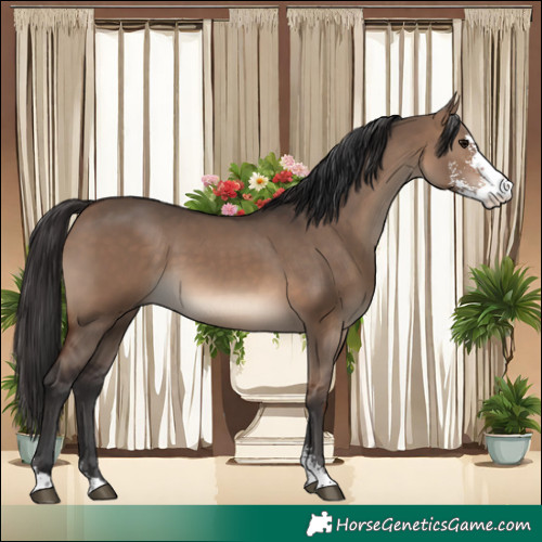 Horse Color:Brown Dun Sabino