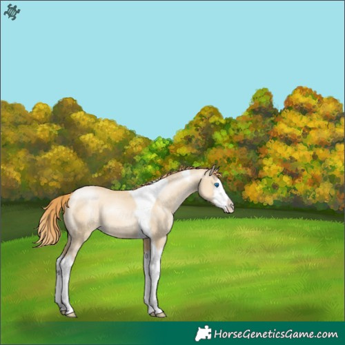 Horse Color:Smoky Grullo Pearl Splash Tobiano 