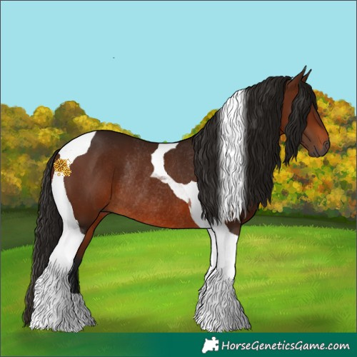 Horse Color:Gray Bay Tobiano Rabicano 