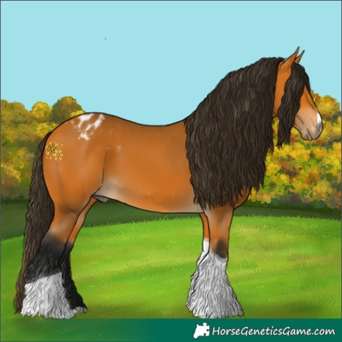 Horse Color:Gray Buckskin Tobiano Appaloosa 