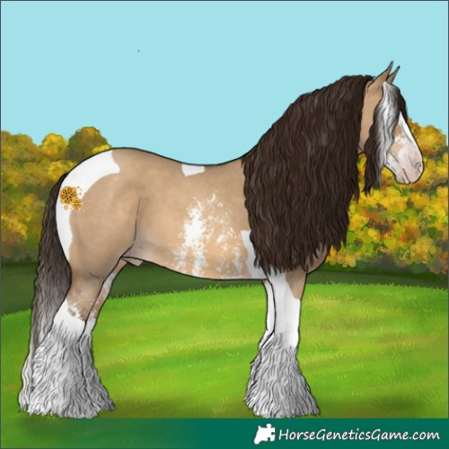 Horse Color:Gray Amber Champagne Dun Sabino Splash Tobiano Varnish 