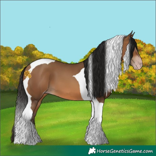 Horse Color:Gray Amber Champagne Tobiano 