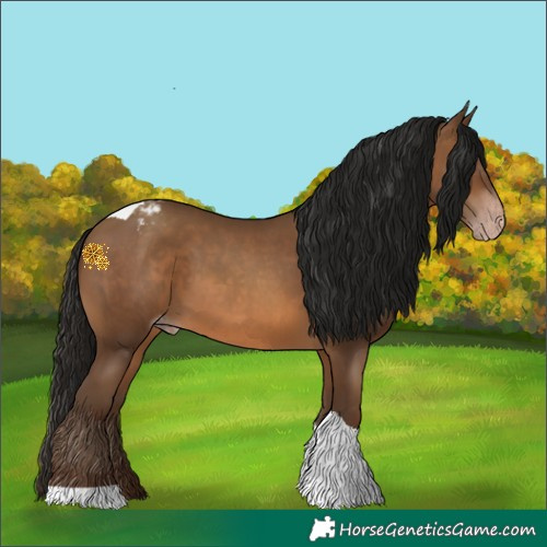 Horse Color:Gray Amber Champagne Tobiano Varnish 