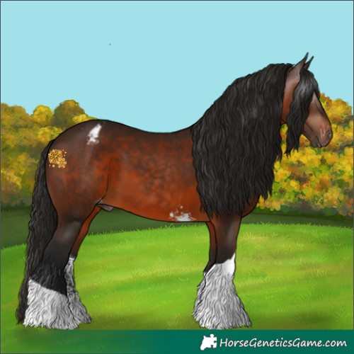 Horse Color:Gray Bay Sabino Tobiano Appaloosa 