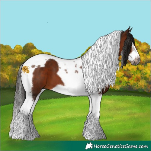 Horse Color:Gray Bay Splash Tobiano Frame 