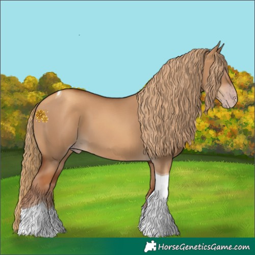 Horse Color:Gray Gold Champagne Dun Tobiano 